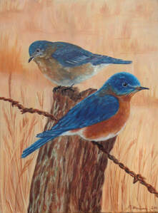 Eastern, Bluebird, painting