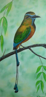 Turquoise, motmot, bird, tropical, painting,. Yucatan